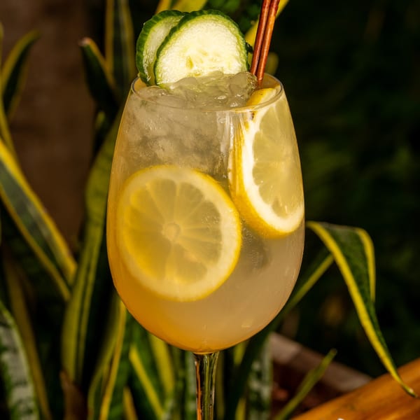 A Tanuki River Landing cocktail with lemon, cucumber, and cinnamon sticks in a wine glass.