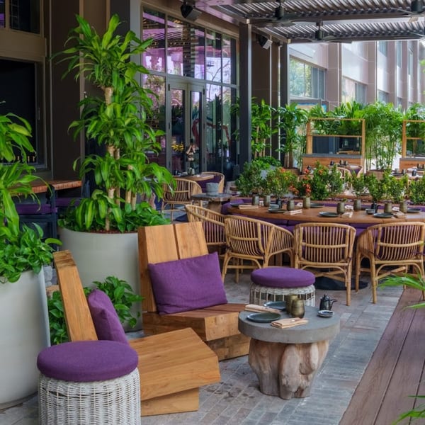 Lush outdoor restaurant patio with wooden and wicker seating, purple cushions, and abundant greenery.
