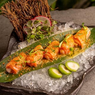 Best Salmon in Miami, FL | Tanuki River Landing